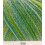 GAUDì'100% cotone EGITTO.cod 651